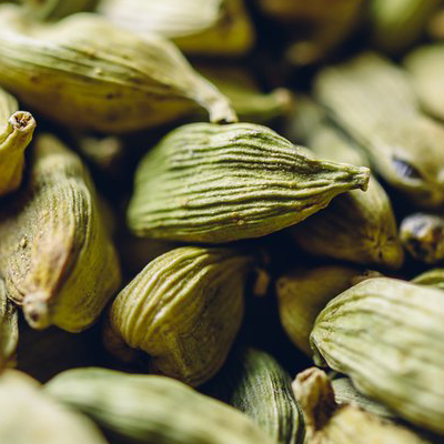 Cardamom pods used in artisan chai blends